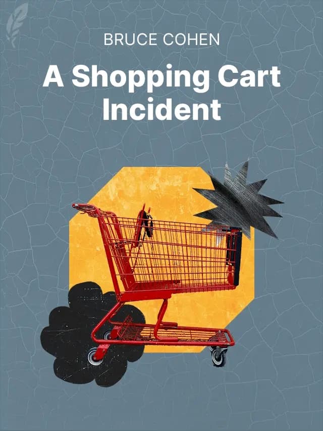 A Shopping Cart Incident book cover