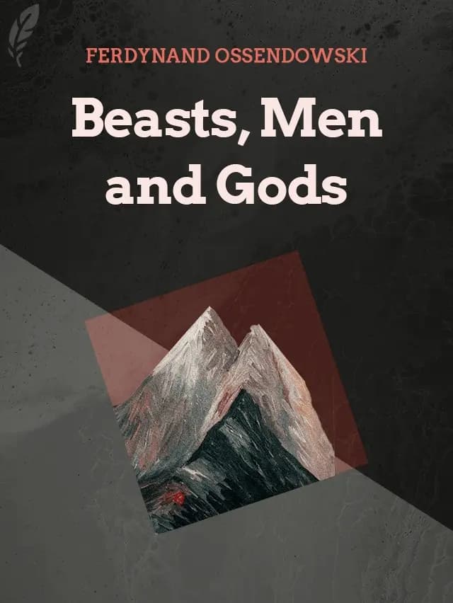 Book hero background