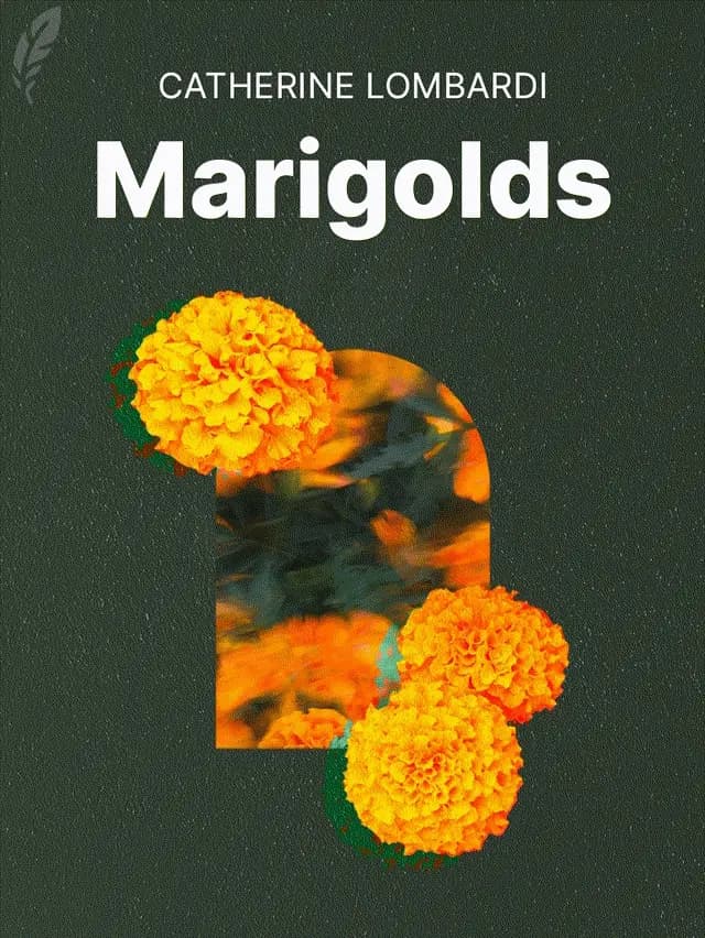 Book hero background